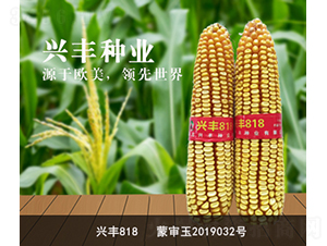 �d�S818-�d�S�N�I(y��)