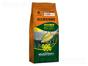 ��(f��)��΢�������28-5-5+TE-�����Q-���Q����