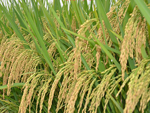 �(y��u)5105-�s������-���A�N�I(y��)