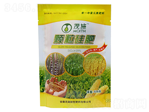 �w�����-ïʩ