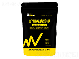 �VԴ�S�����-��ِ��