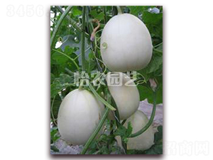 ��ϷN��-���r(n��ng)�@ˇ