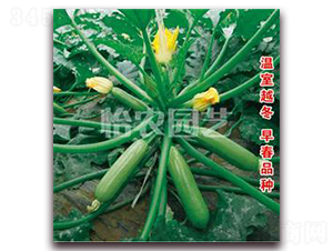 ����-�����J�N��-���r(n��ng)�@ˇ