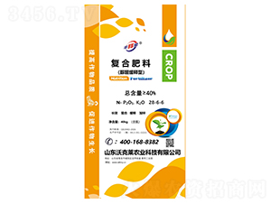 ��ȩ����͏ͺϷ���28-6-6-�S���-�ֿ��R