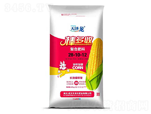 �LЧ����͏ͺϷ���28-10-12-������-�����