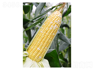 ������218-���׷N��-��֮Դ