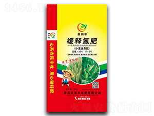 ��ጵ���-������