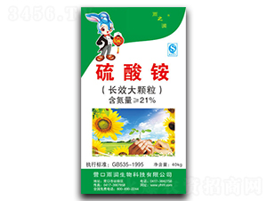 �����@-��֮��-�ꝙ����