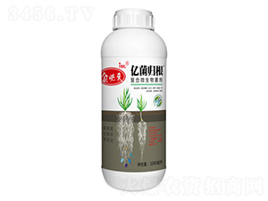 ��(f��)��΢�������-��؁�(l��i)�|���w��-�����