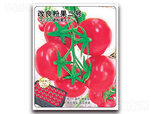 �����۹���̖-���ѷN��-�w���r(n��ng)�I(y��)