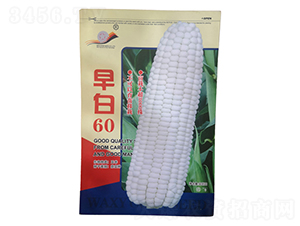 ���60-��Ŵ���׷N��-���R�_Ԫ