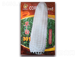 ���301-��Ŵ���׷N��-���R�_Ԫ