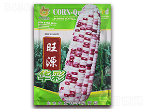 ��Դ�A��-��Ŵ���׷N��-���R�_Ԫ