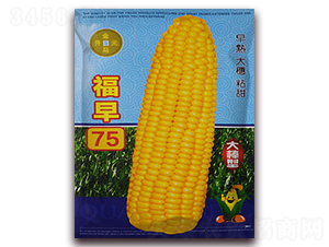 ����75-���׷N��-���R�_Ԫ