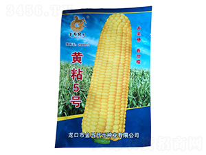 �Sճ5̖(h��o)-���׷N��-���R�_Ԫ