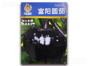 ��ꖈA��-���ӷN��-���R�_Ԫ