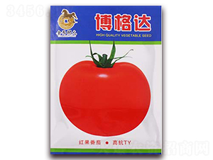 �����_-�t�����ѷN��-���R�_Ԫ