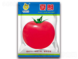 ����-�۹����ѷN��-���R�_Ԫ