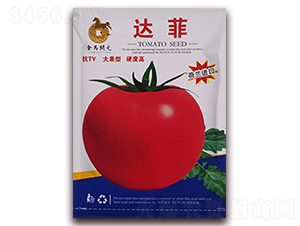 �_��-�۹����ѷN��-���R�_Ԫ