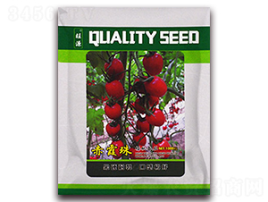 ��ϼ��-���ҷ��ѷN��-���R�_Ԫ