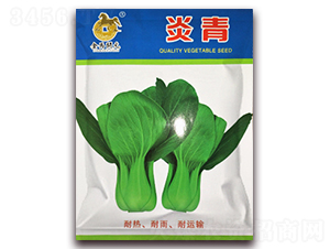 ����-�Ͳ˷N��-���R�_Ԫ