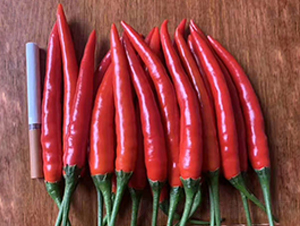 ���콷�N��-���R�_Ԫ