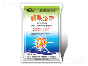 �n�����30-30-30+TE-�P����