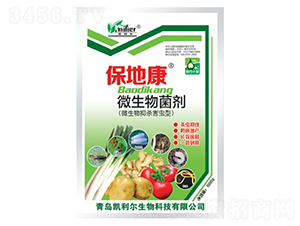 ���ؿ�΢�������-�P����