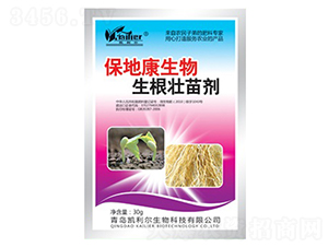 �������焩-���ؿ�-�P����