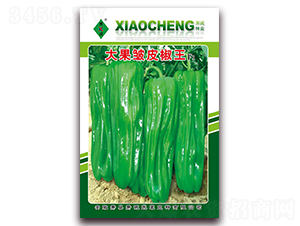 �����Ƥ����-�ݽ��N��-ʒ�\(ch��ng)