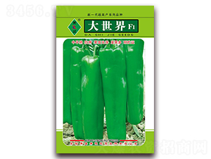 ������-�ݽ��N��-ʒ�\(ch��ng)