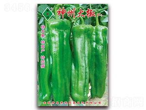 ���ݴ�-�ݽ��N��-ʒ�\(ch��ng)