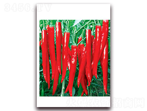 �t��2̖(h��o)-�⽷�N��-ʒ�\(ch��ng)