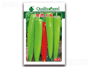 �����-�⽷�N��-ʒ�\(ch��ng)