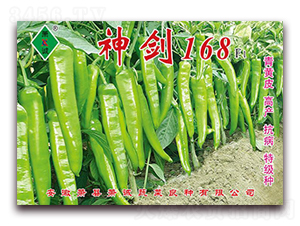 ��168-�⽷�N��-ʒ�\(ch��ng)