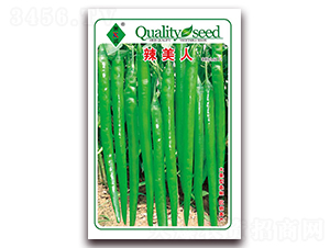 ������-�����N��-ʒ�\(ch��ng)