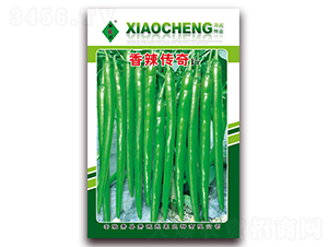 ��������-�����N��-ʒ�\(ch��ng)