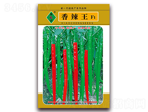 ������-�����N��-ʒ�\(ch��ng)