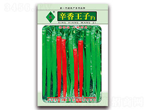 ��������-�����N��-ʒ�\(ch��ng)