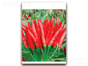 �n��(gu��)��t-���콷�N��-ʒ�\(ch��ng)