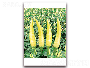 �n��(gu��)С����-���콷�N��-ʒ�\(ch��ng)