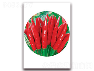 ���Ʒ-���콷�N��-ʒ�\(ch��ng)