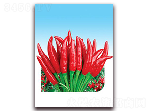 ������̖(h��o)-���콷�N��-ʒ�\(ch��ng)