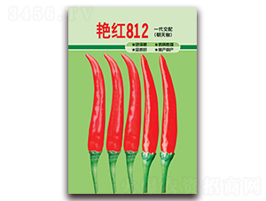 �G�t812-���콷�N��-ʒ�\