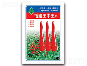 ����������-���콷�N��-ʒ�\