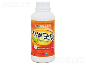 �ǶȲ�ʿ-��(y��u)��˼