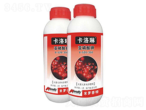 �������-0-520-350-������-��(y��u)��˼