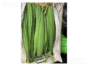 ��z��-�z�ϷN��-��V�r(n��ng)�I(y��)