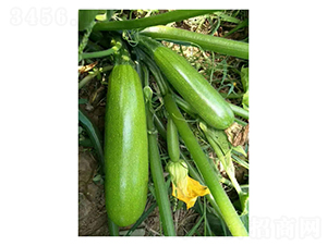 ����S306-�����J�N��-��V�r(n��ng)�I(y��)