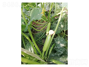 �G��3027-�����J�N��-��V�r(n��ng)�I(y��)